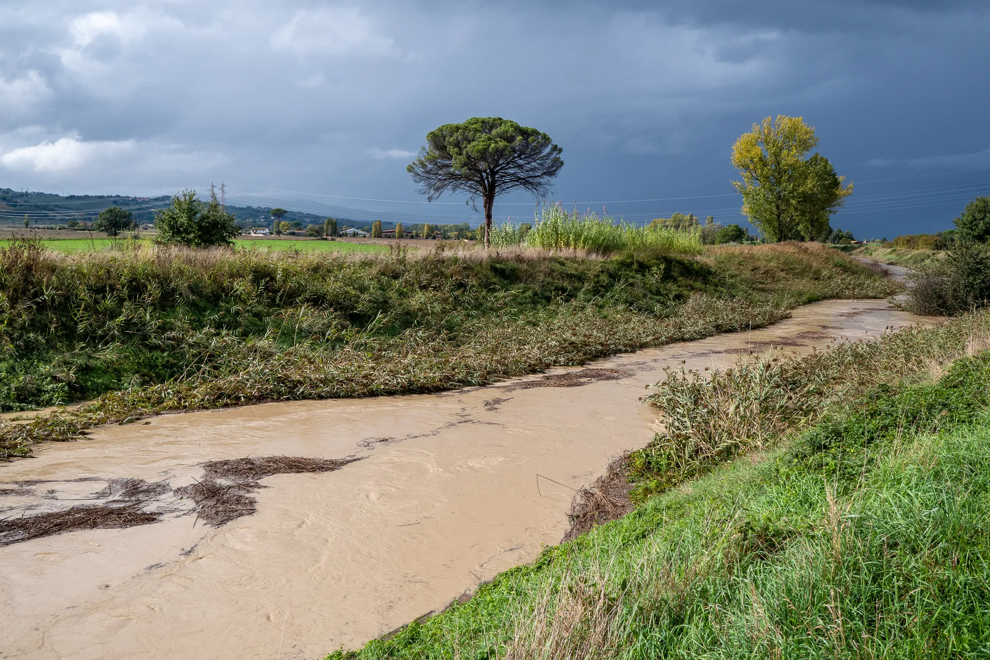 Muddiges Wasser fließt durch eine grüne Landschaft mit Bäumen und bewölktem Himmel.