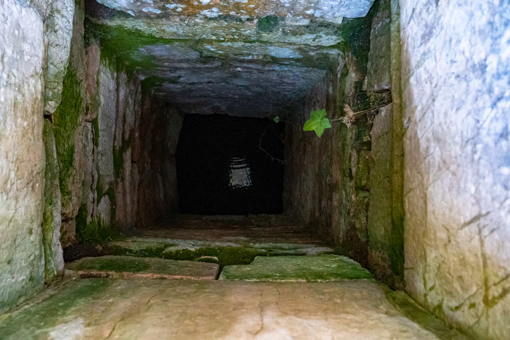 Steinerne Tunnelöffnung mit Moos und dunkler Tiefe