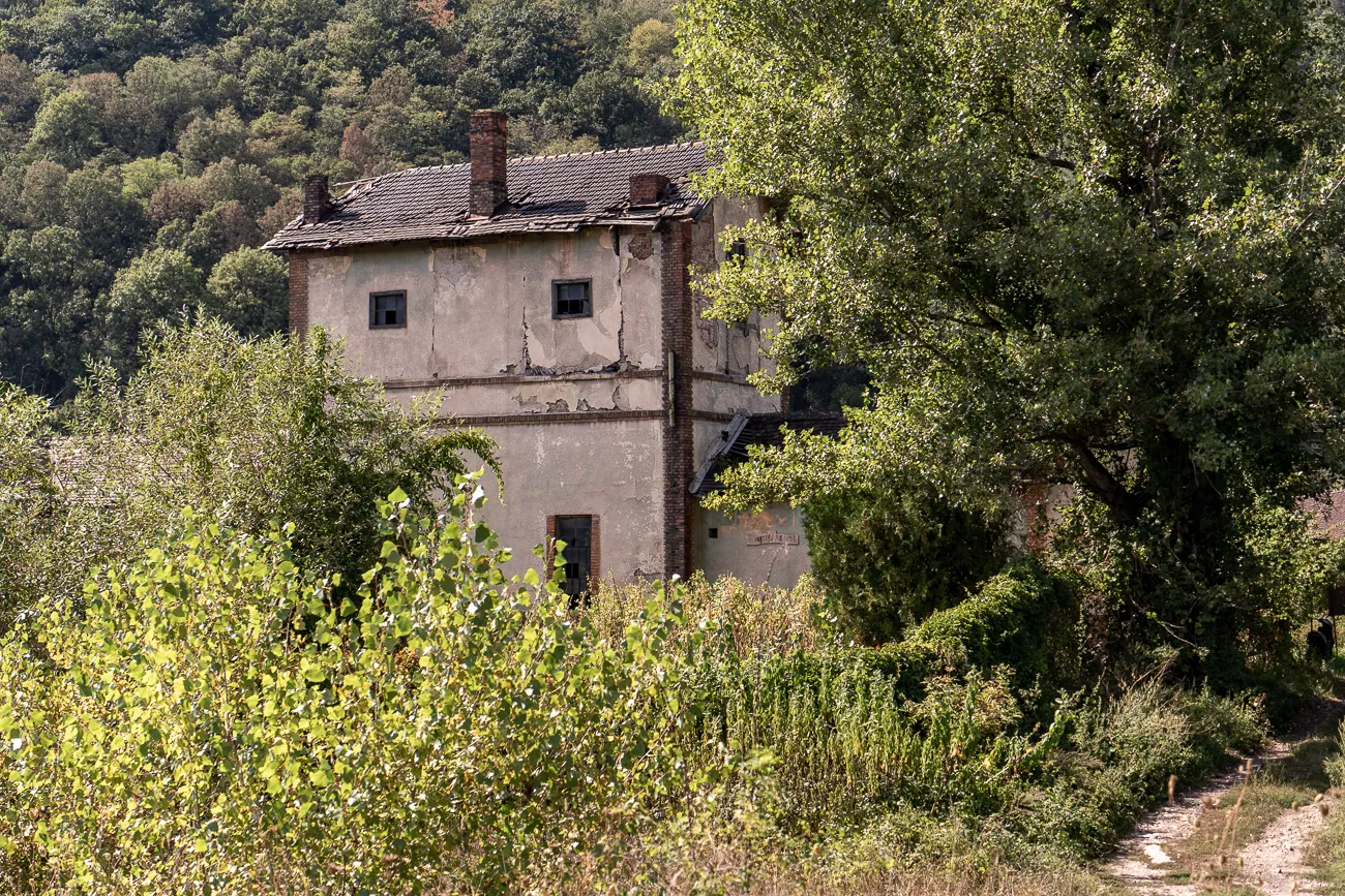 Verfallenes Haus im Wald, umgeben von Bäumen und Sträuchern