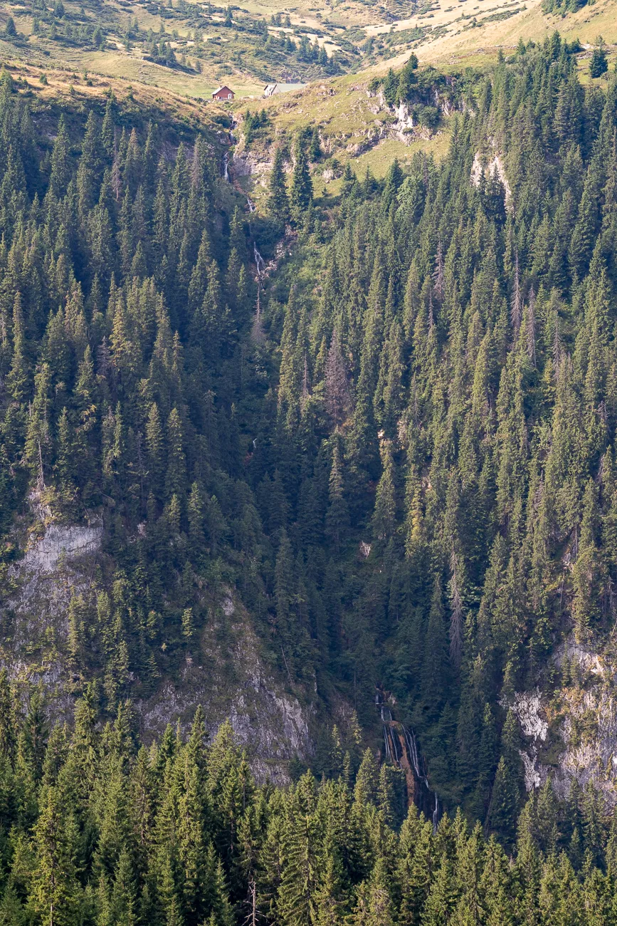 Tiefer Waldgraben mit Wasserfall und rotem Haus im Hintergrund