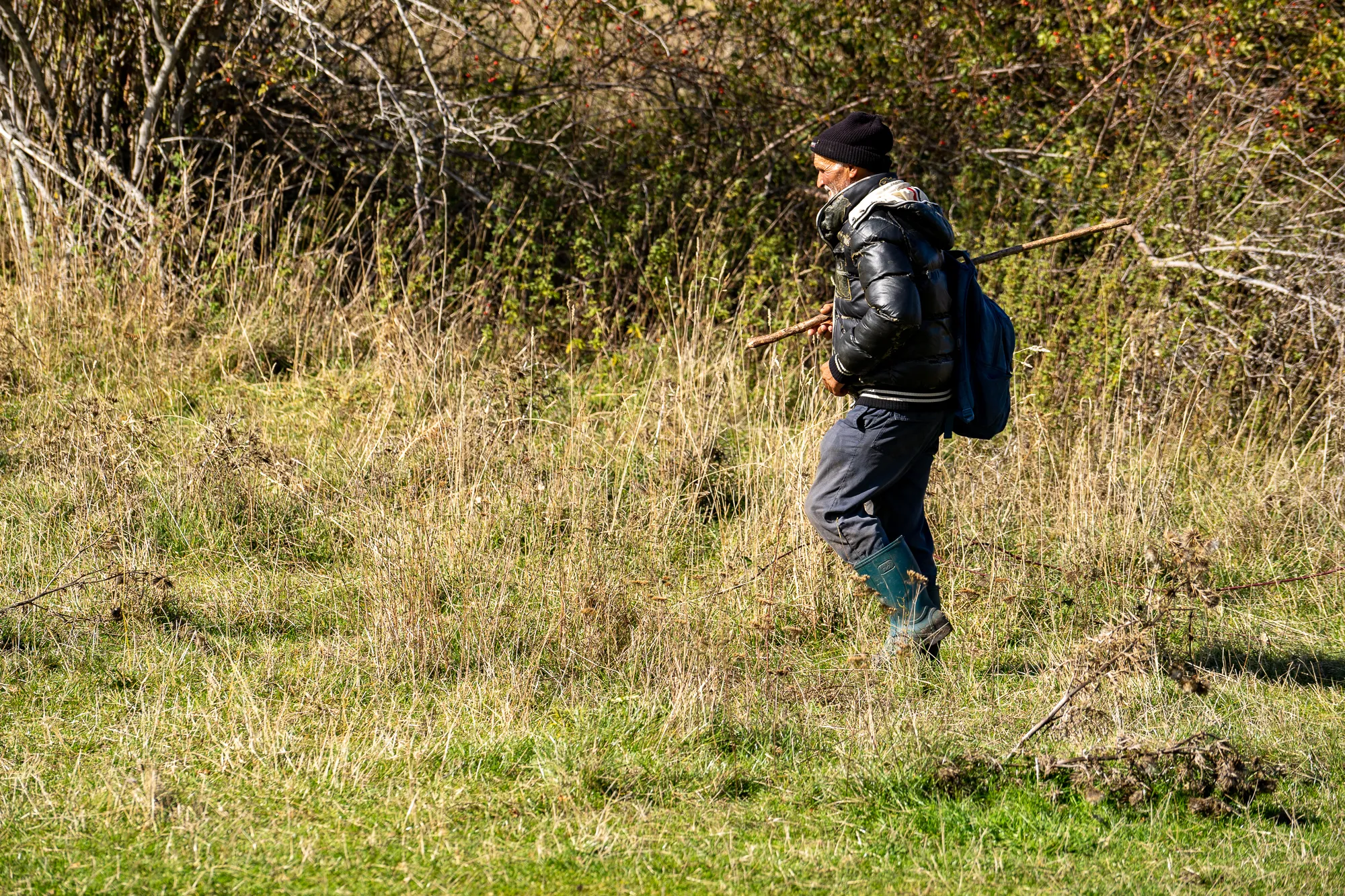 Mensch wandert mit Stock durch grasbewachsenen Hang im Herbst