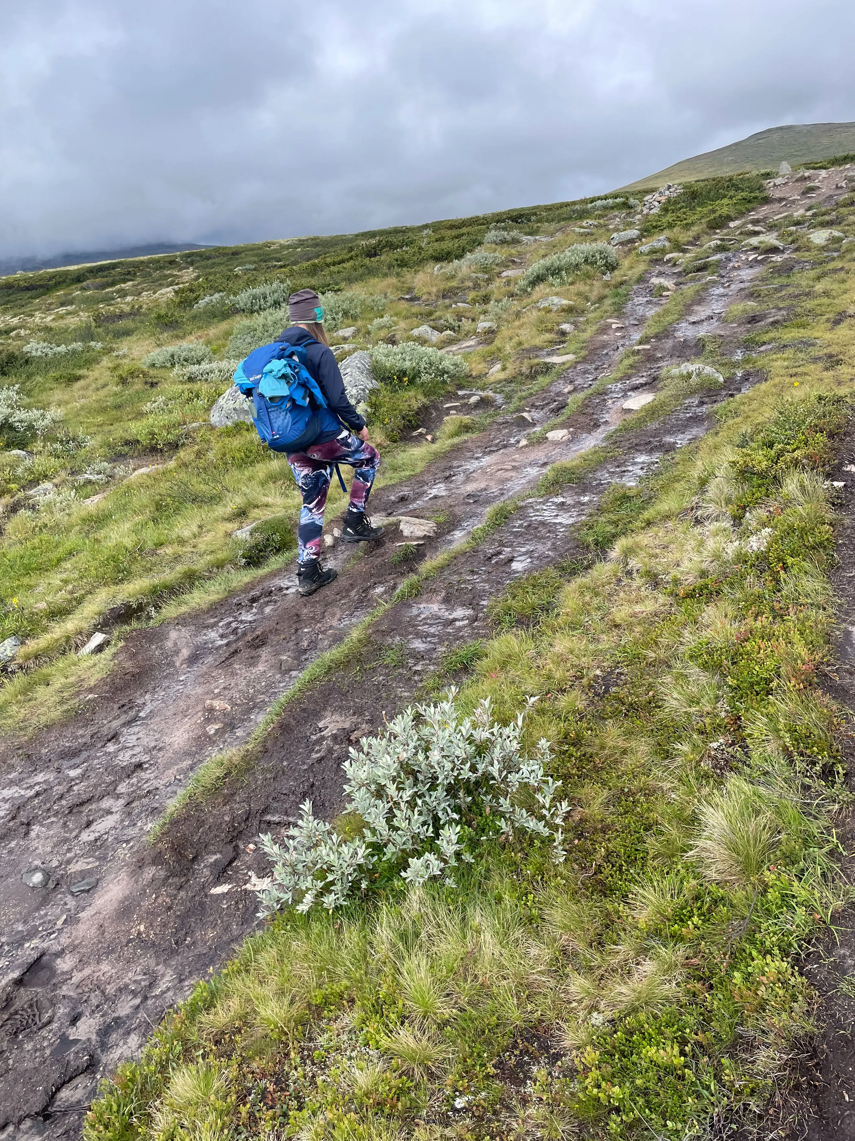 Mensch mit blauem Rucksack wandert auf schmalen Pfad durch grüne Hügellandschaft.