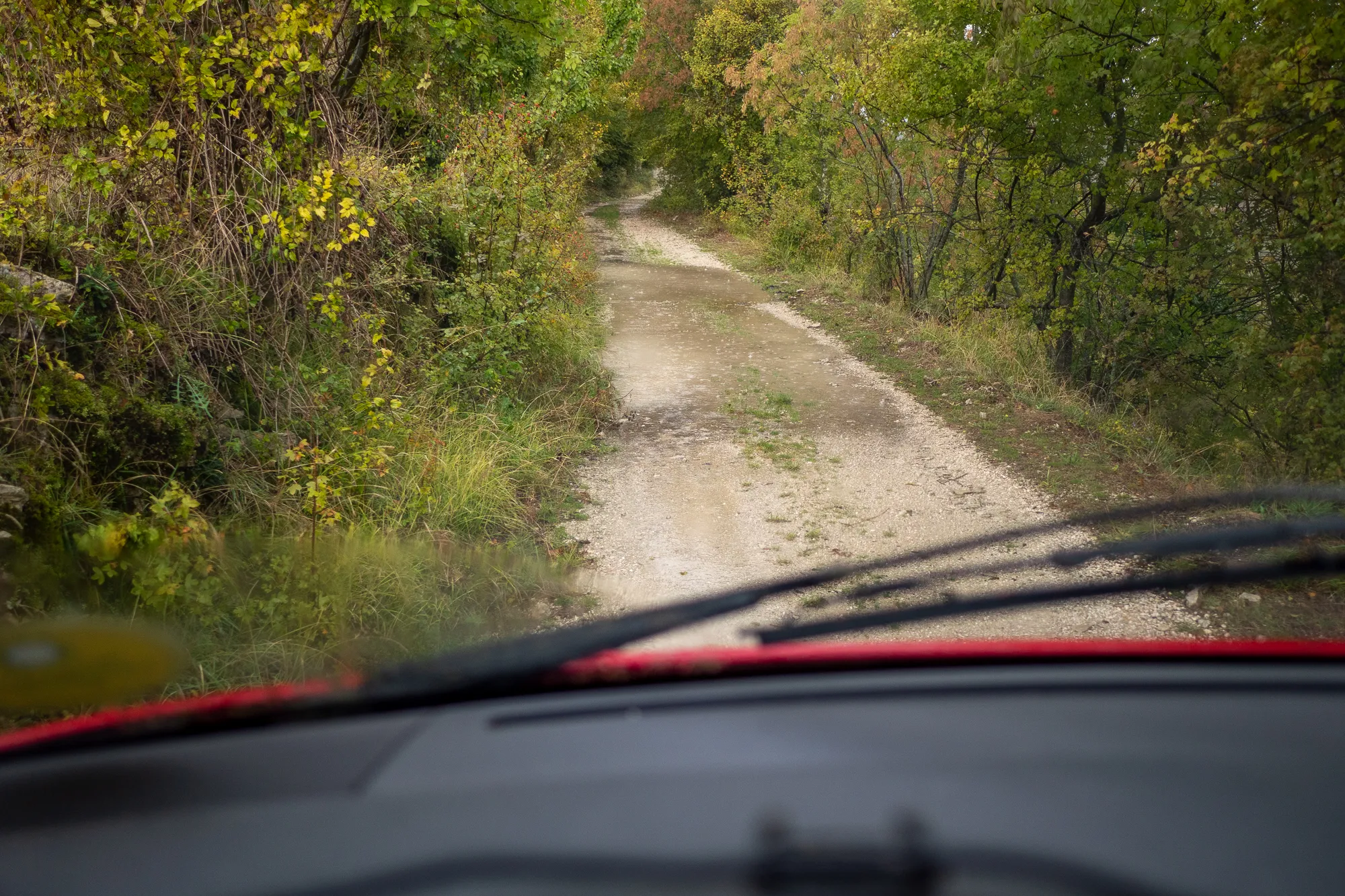 Dreckiger Waldweg von Auto aus gesehen, umgeben von grünen und gelben Bäumen