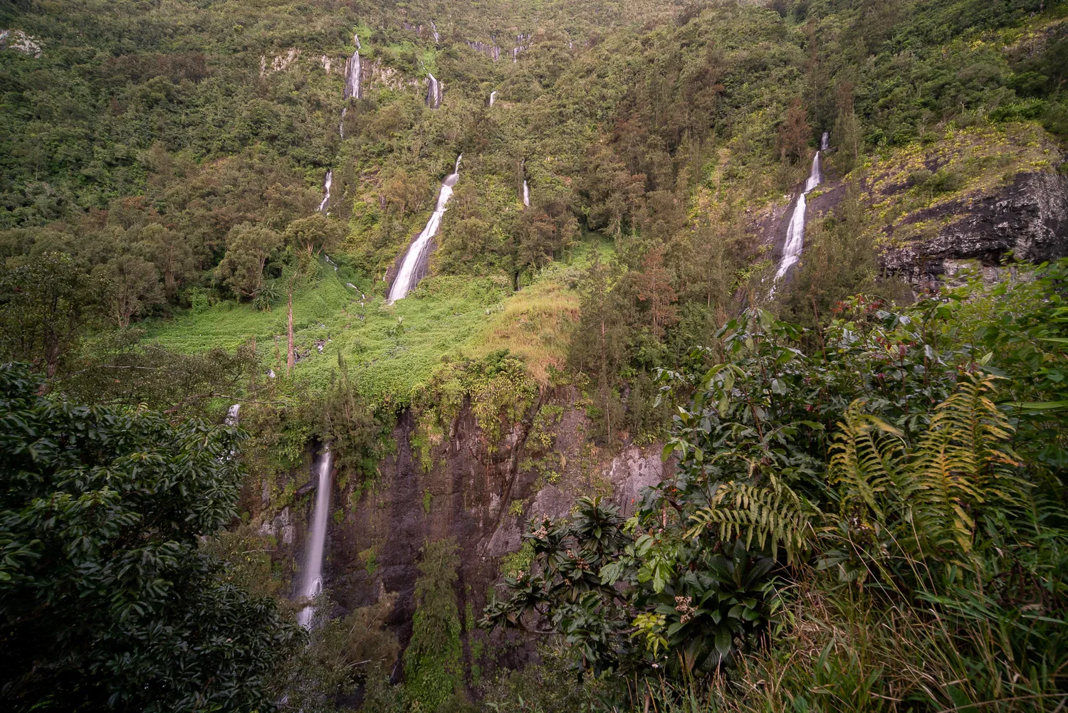 Wasserfälle fließen durch dichten grünen Wald in einem Tal.