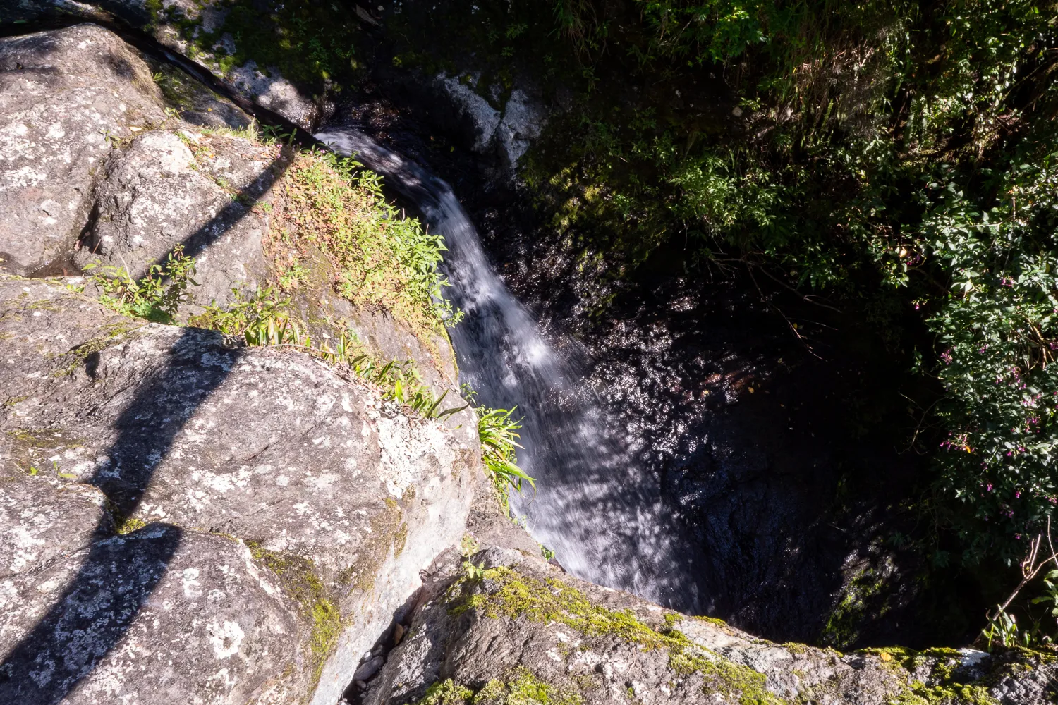 Wasserfall fließt über Felsen in dichtem Wald
