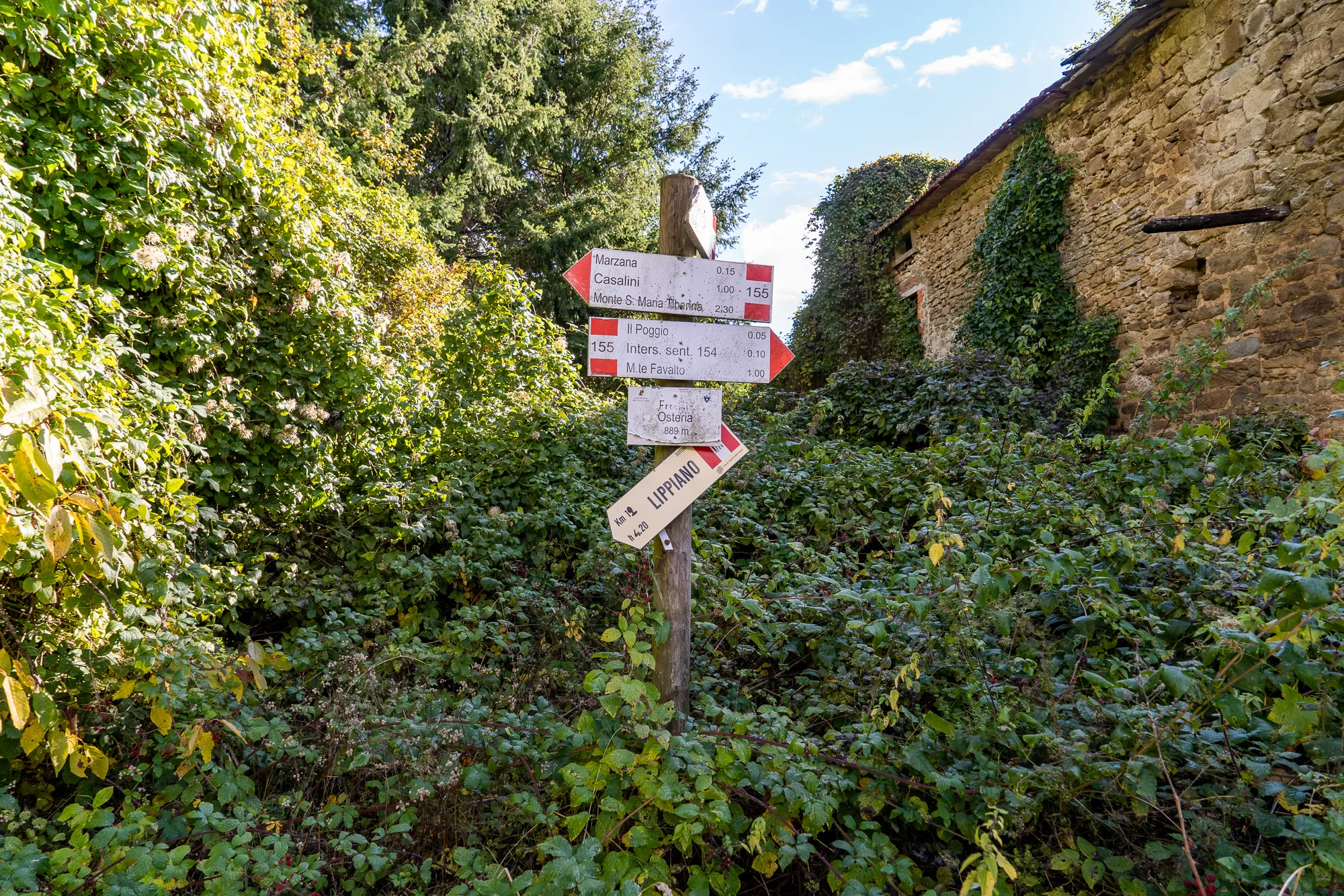 Wegweiser mit roten Schildern in dichtem Grün, Steinhaus im Hintergrund