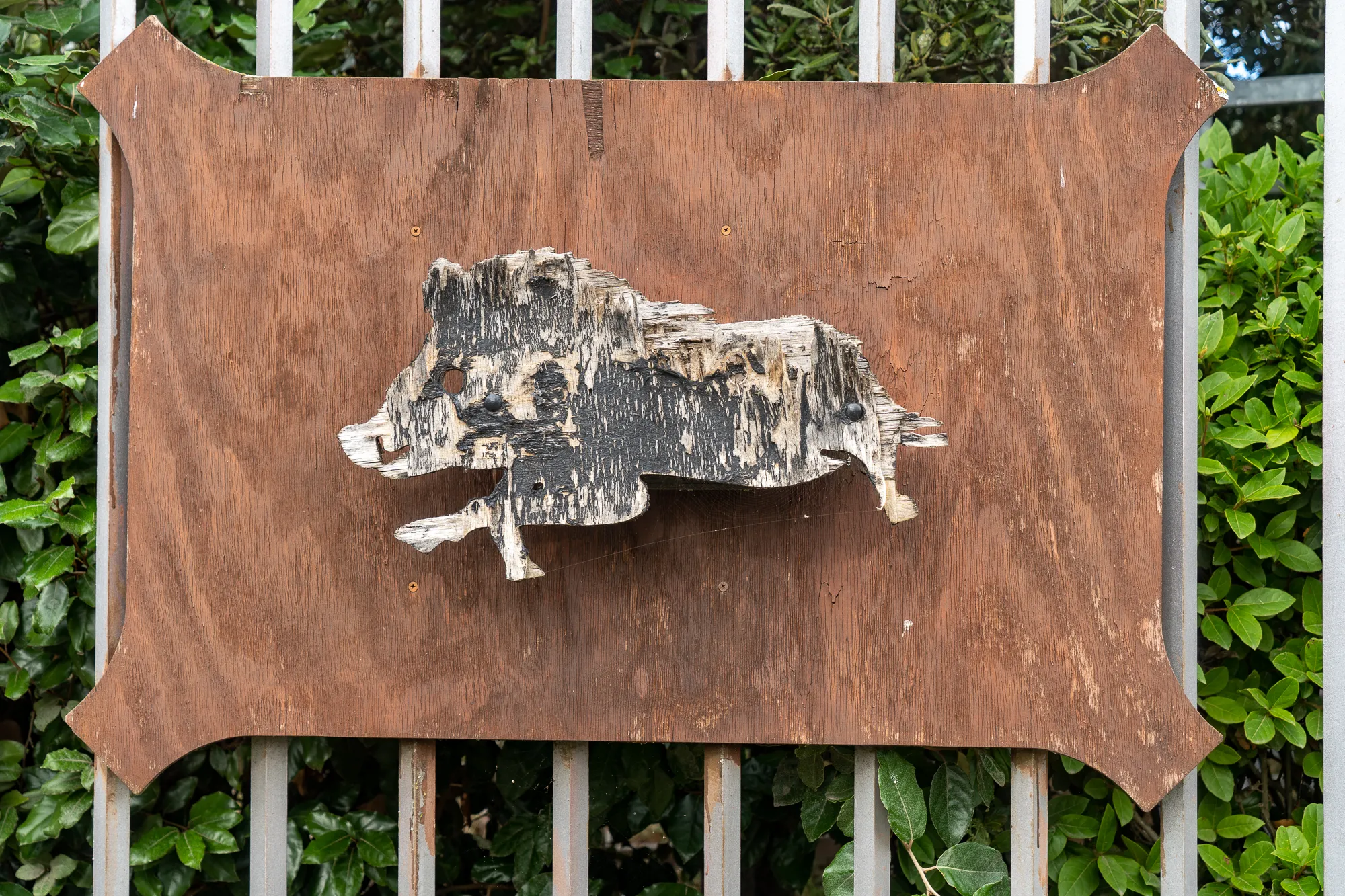 Holzschild mit Wildschweinmotiv an Metallgitter vor grüner Hecke