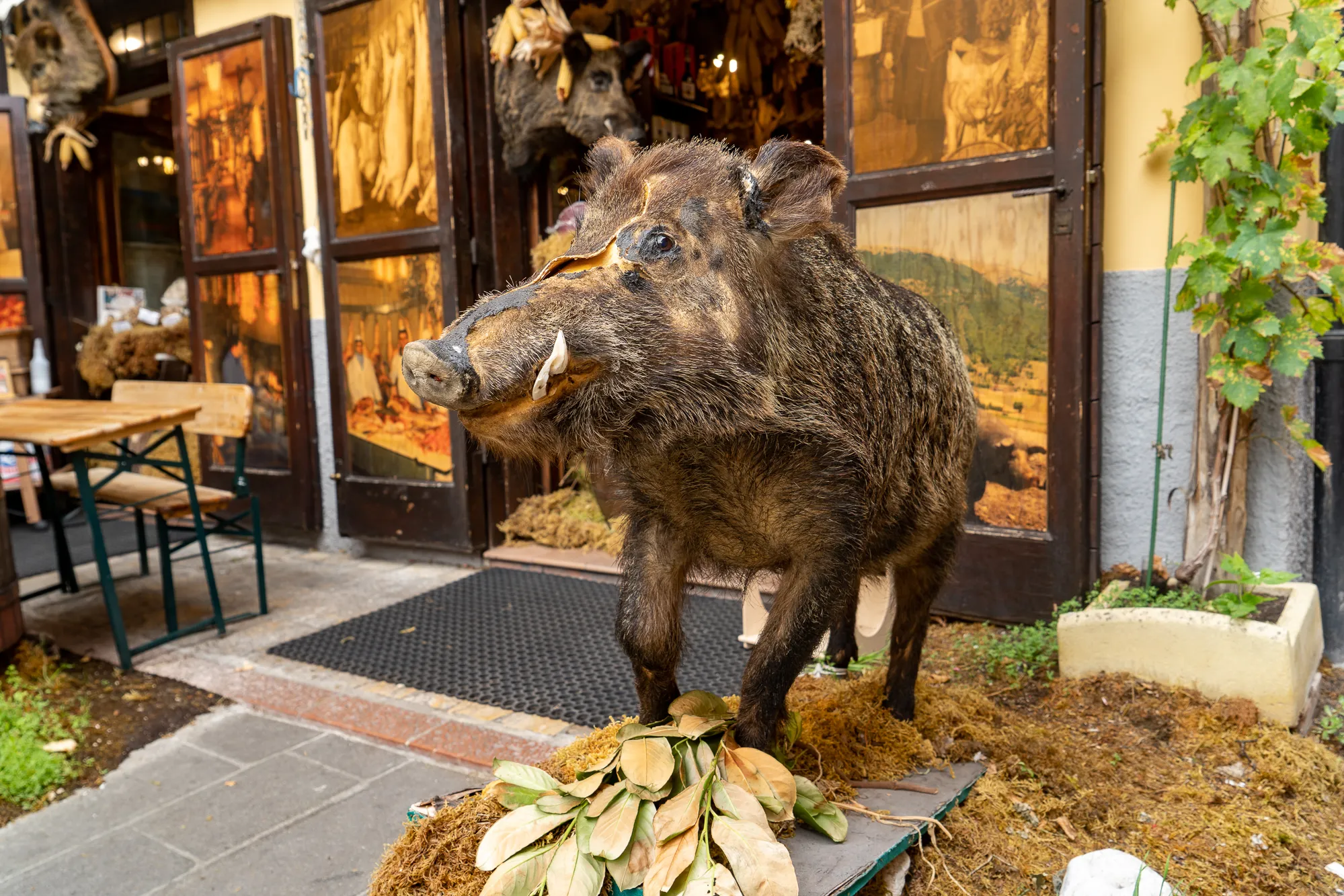 Standbild eines Wildschweins vor einem Gastraum mit Holztischen und Fenstern.
