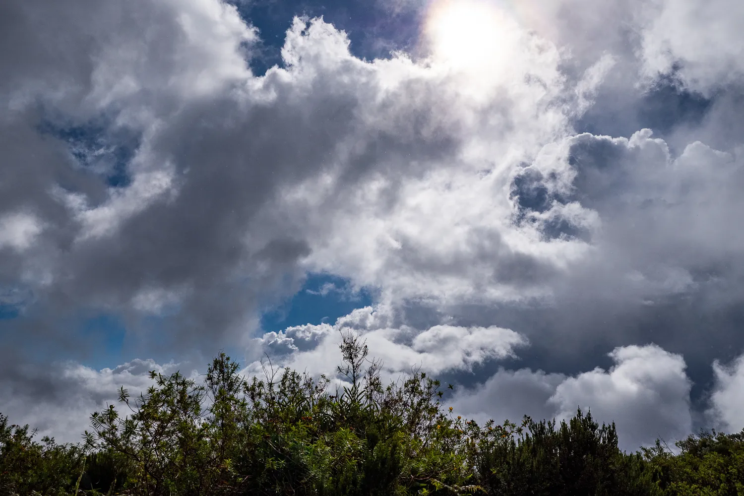 Wolken über grüne Büsche unter blauem Himmel