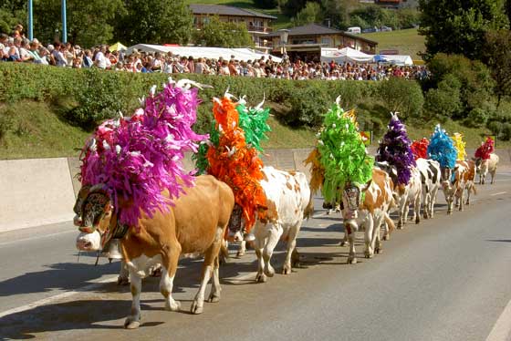 Almabtrieb