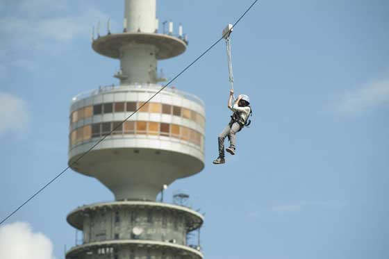 flying fox
