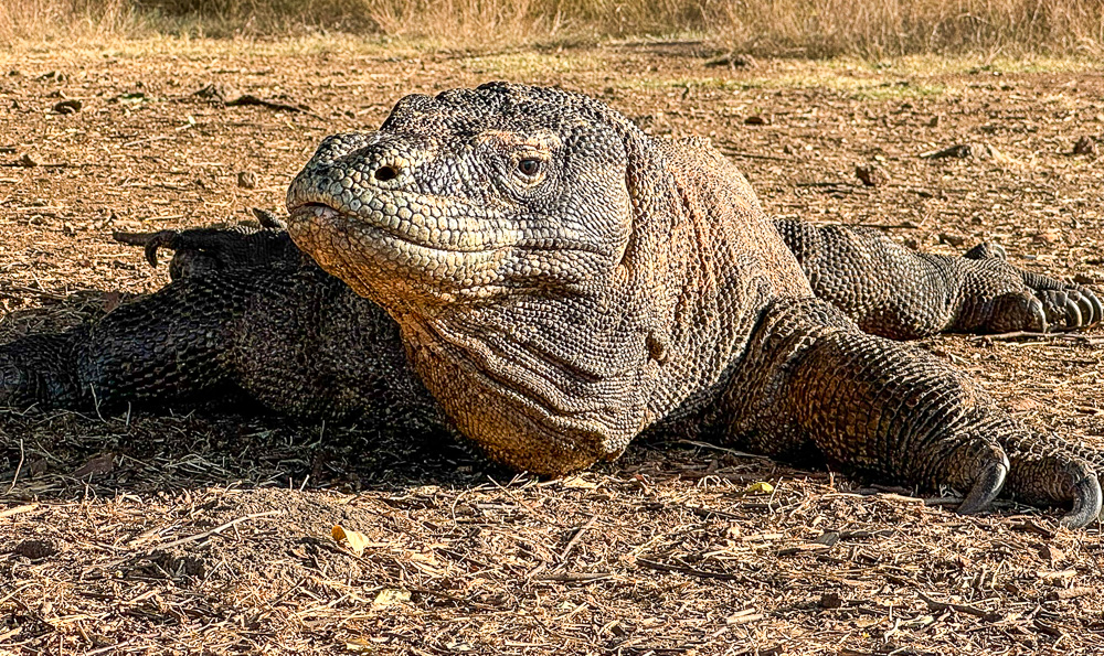 A first slider image